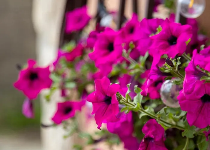Pensión Pilar Santillana del Mar